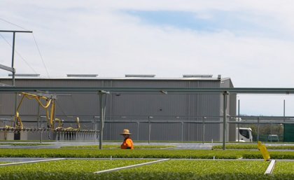 UQ students are using 360° images and video to take virtual tours of farms an overhead irrigator moving across trays of plant seedlings